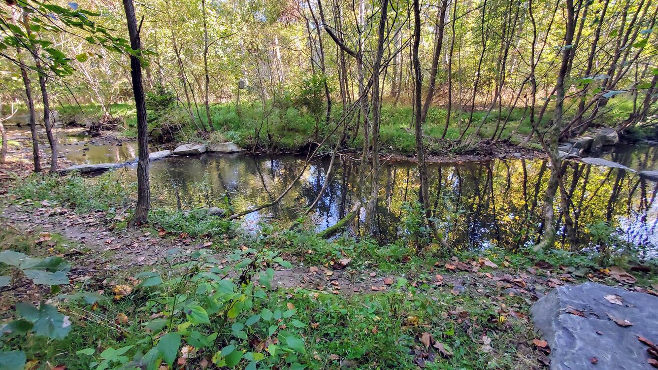 Snakeden Creek near Reston Virginia.
