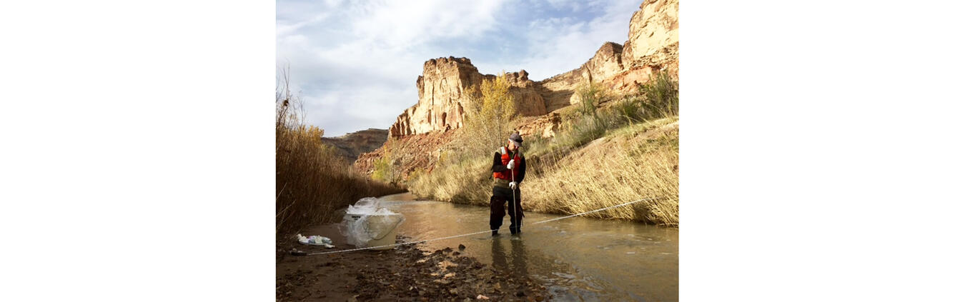 Collecting a sample from Muddy Creek in the San Rafael Swell, Utah 