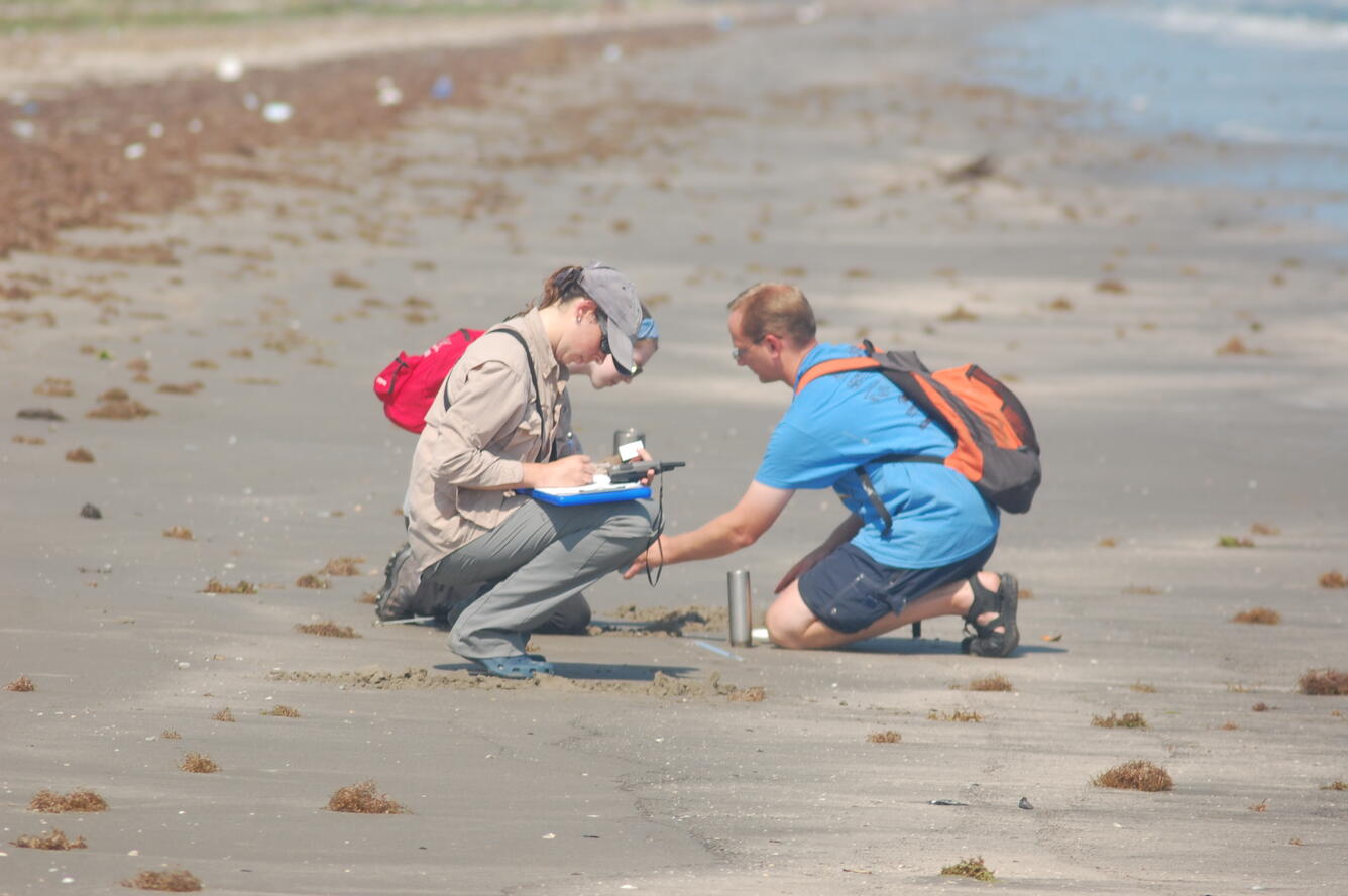 USGS WARC scientists conduct bird surveys in Louisiana