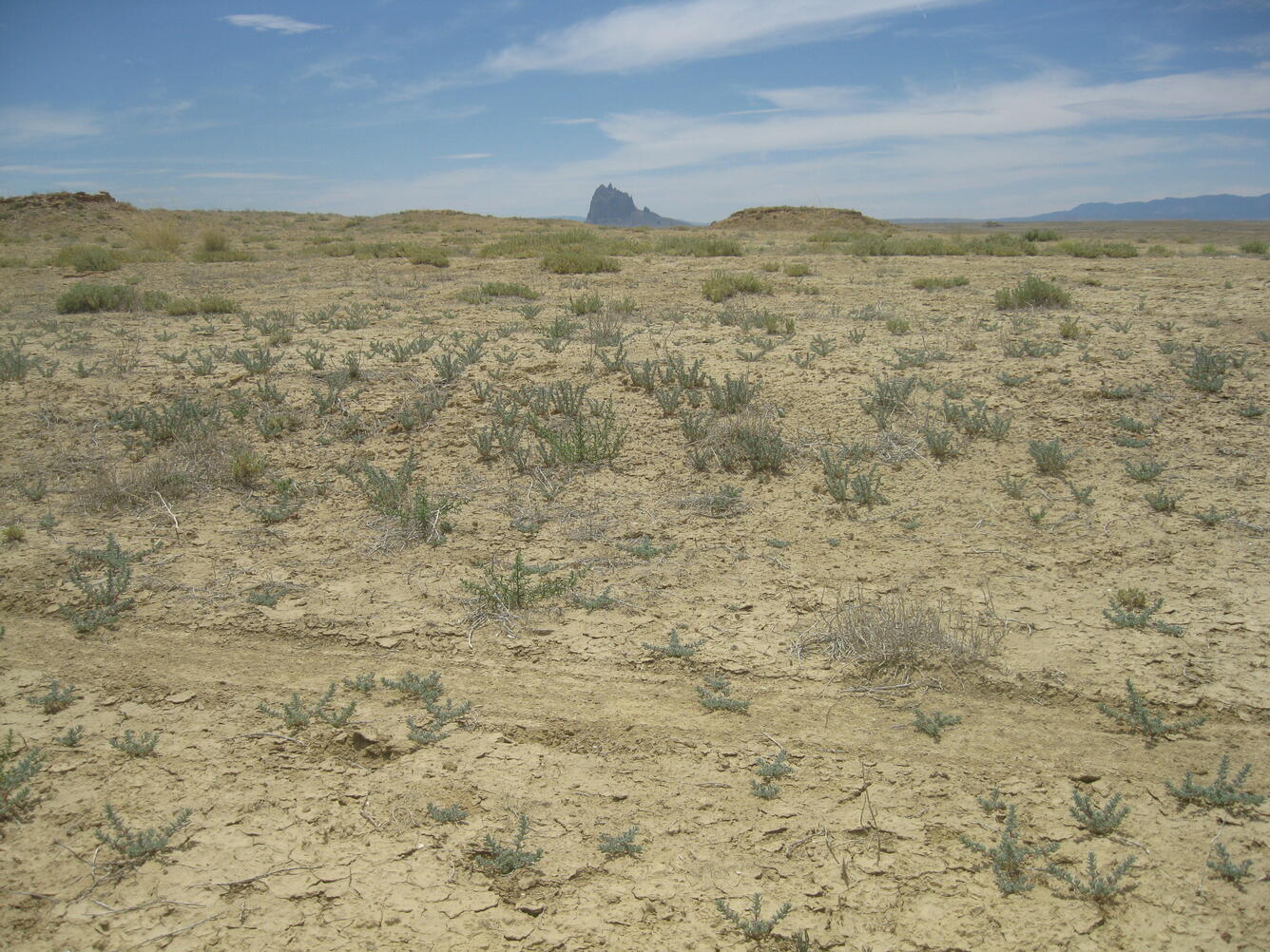 Volcanic remnant Shiprock as seen from the Many Devils Wash arroyo near Shiprock, New Mexico.