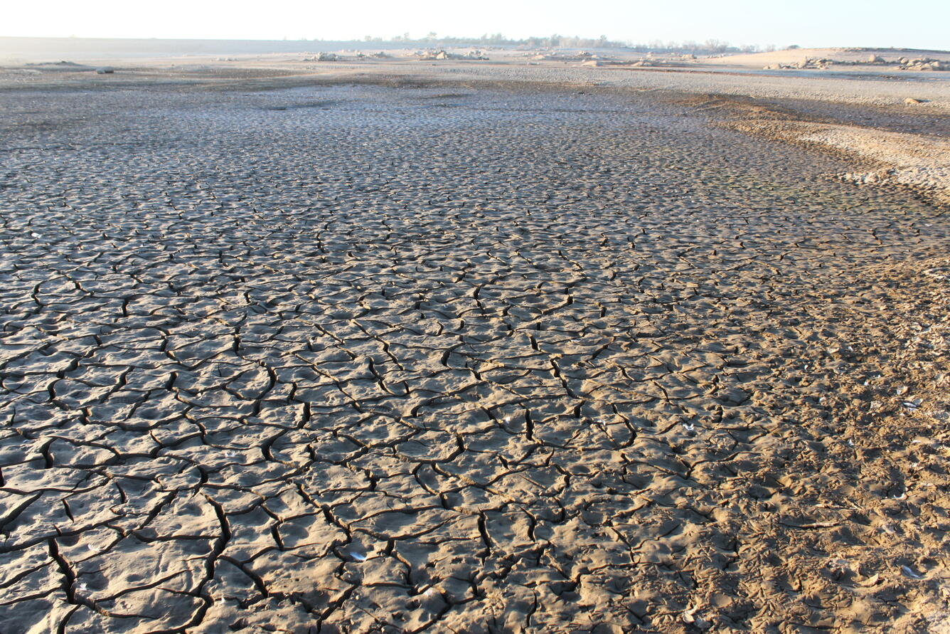 SF Shouse Folsom Lake dried puddles Jan2014