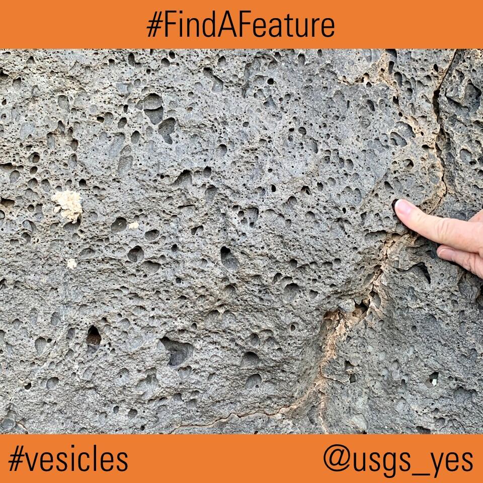 This image shows holes in light-colored volcanic rock. Finger for scale.