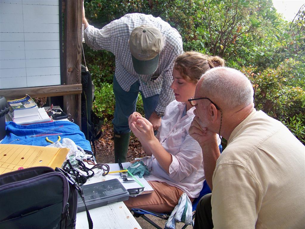 Birds are processed at the BBL’s bird banding station on Patuxent Wildlife Research Refuge.