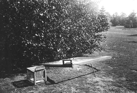 black and white photo of historic trap set to capture birds for banding