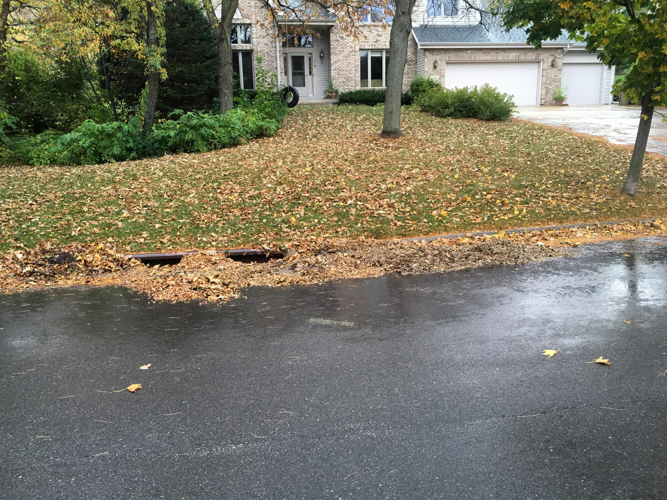 Photo of storm drains clogged by fall leaves
