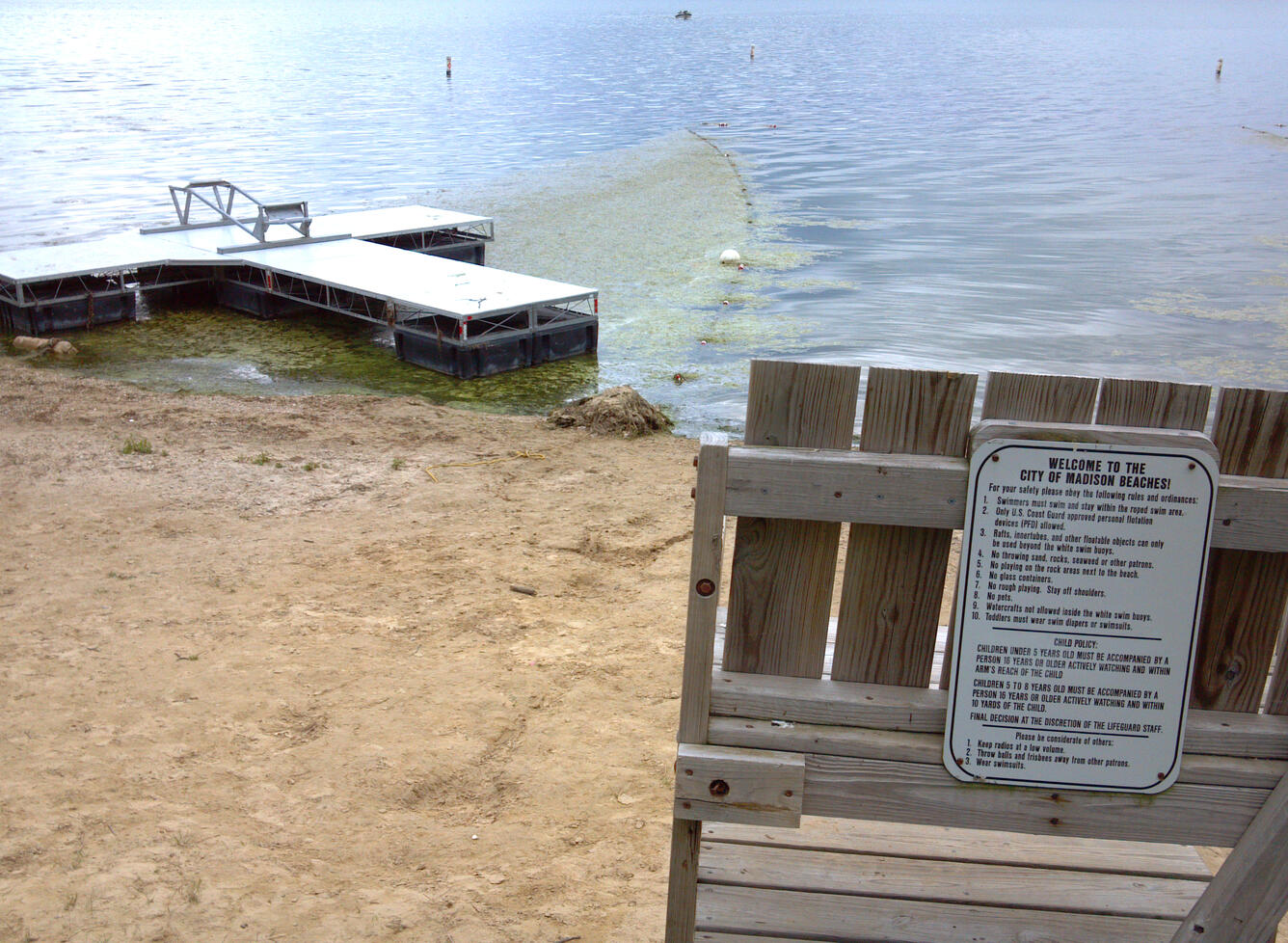 Photo of a Madison, Wis., beach with algae floating in the lake