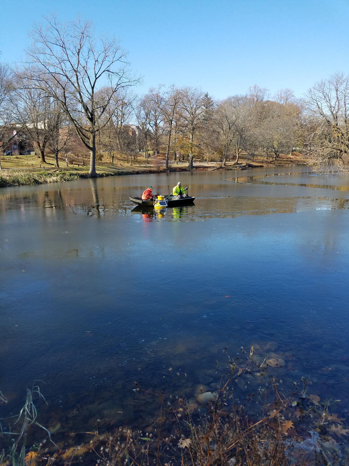 Removing HABS buoy from Washington Park Lake in Albany, NY