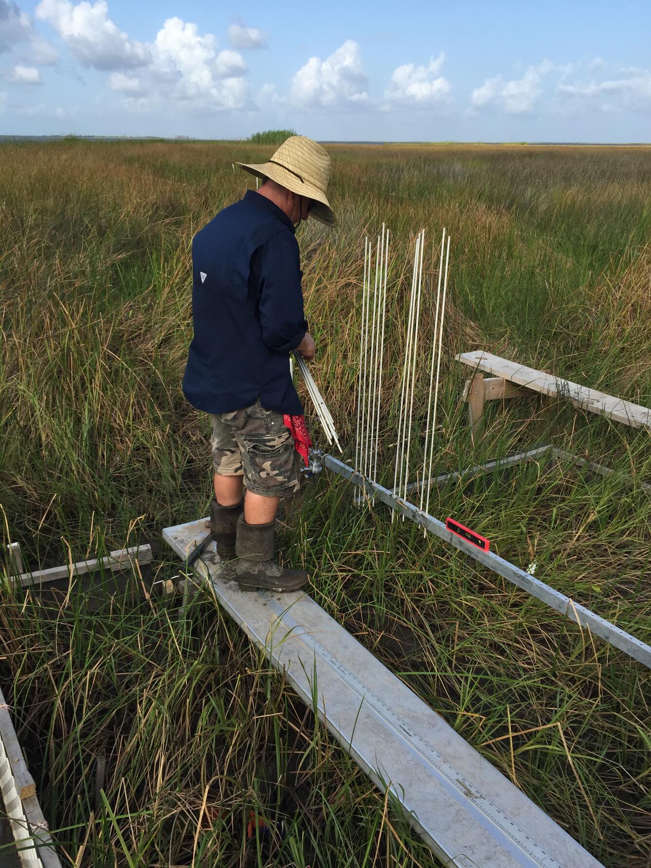 USGS WARC scientist installs SET in Louisiana marsh