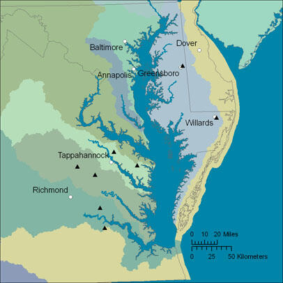 Virginia Bankfull Regional Curves Project Coastal Plain Image