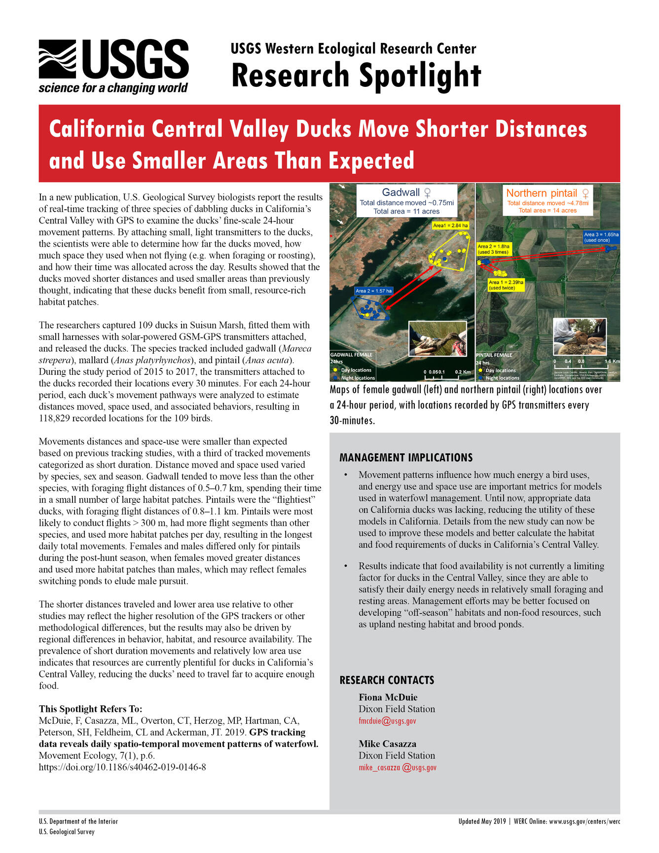 Research spotlight (text and images) about duck movement (pdf available)