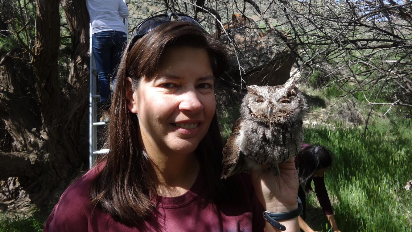 Woman with adult western screech owl
