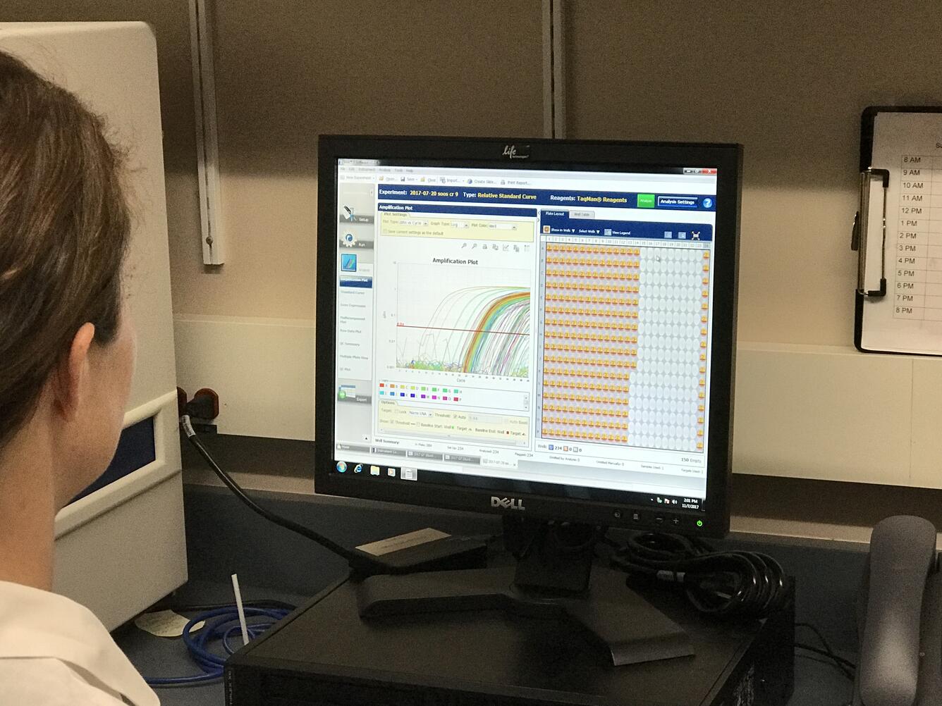 qPCR for the detection of Rs