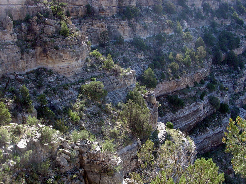 This is a photo of cliffs of Kaibab Limestone.