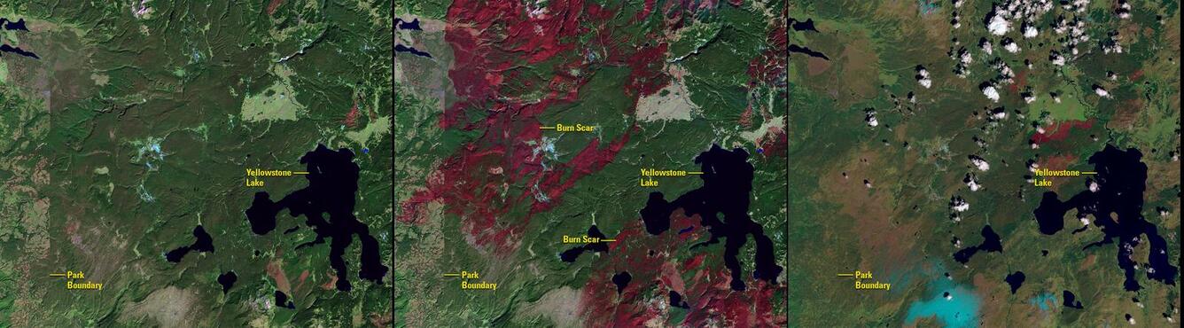 Using Landsat imagery to record burn severity and recovery.