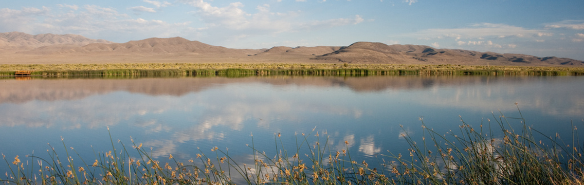 Stillwater National Wildlife Refuge, Nevada