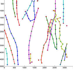 Graph of carp egg terminal fall velocity