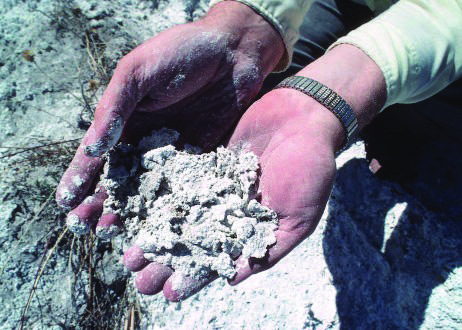 Salt-encrusted soils in the Colorado River Basin