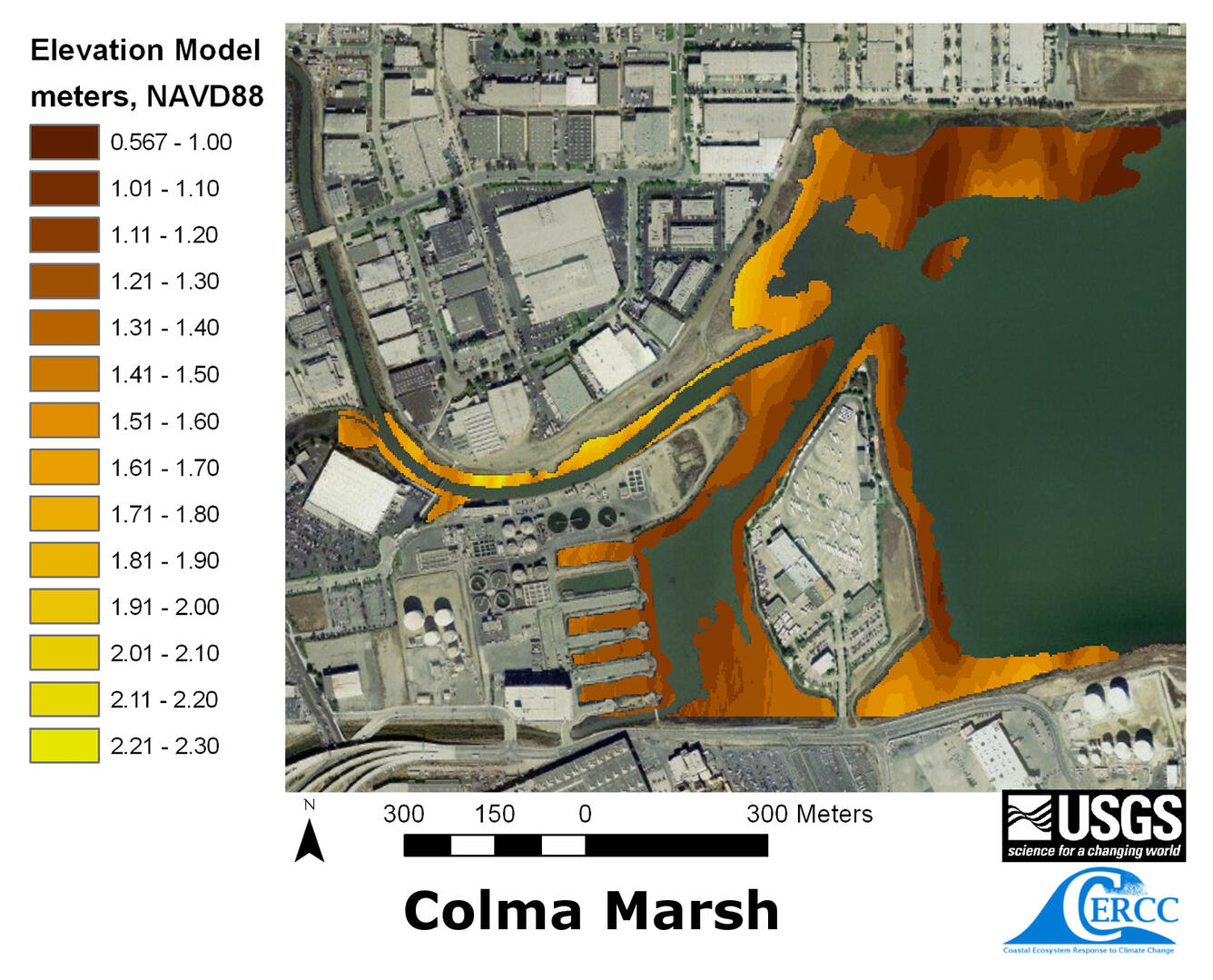Map of the derived elevation data at Colma Marsh
