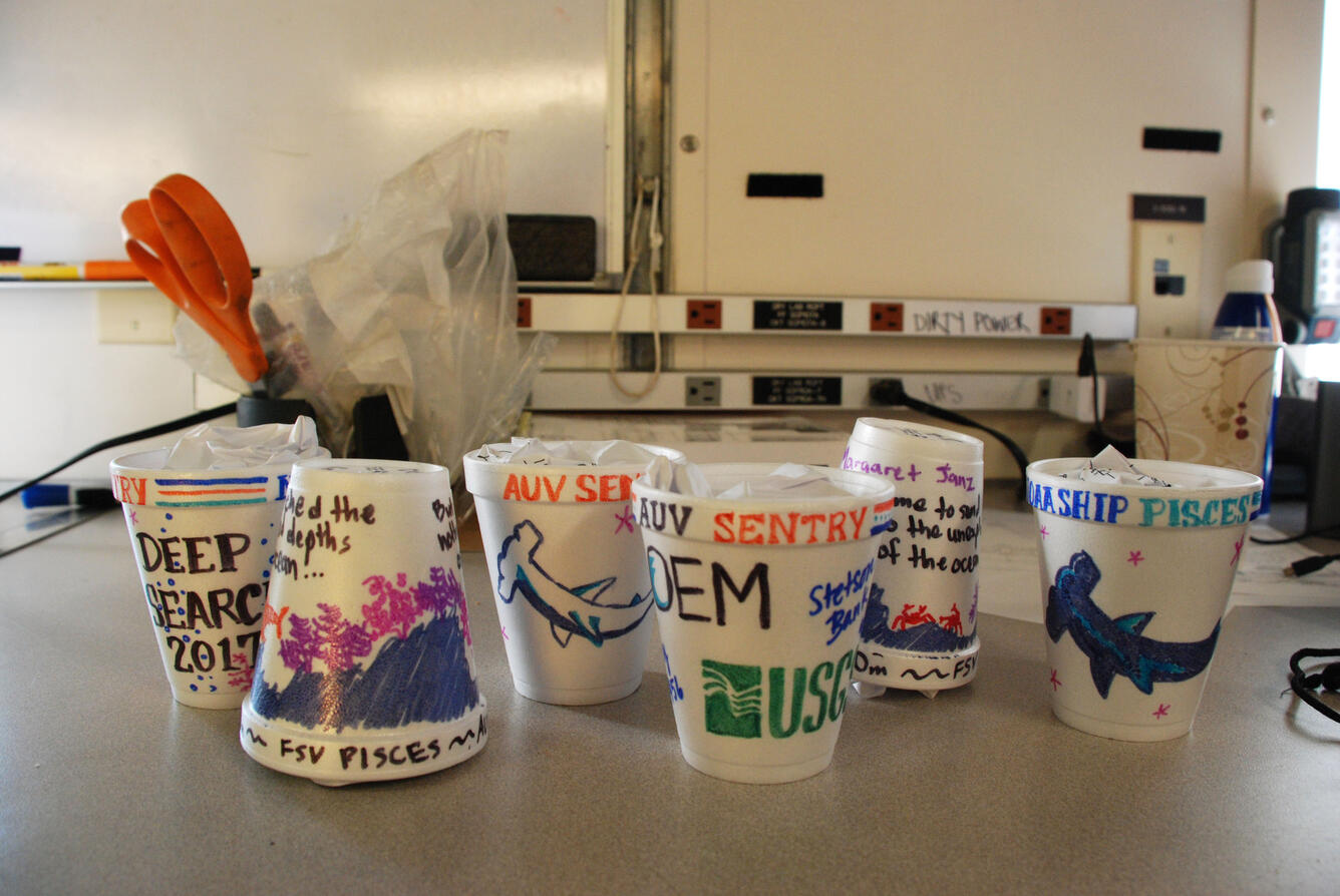 decorated styrofoam cups