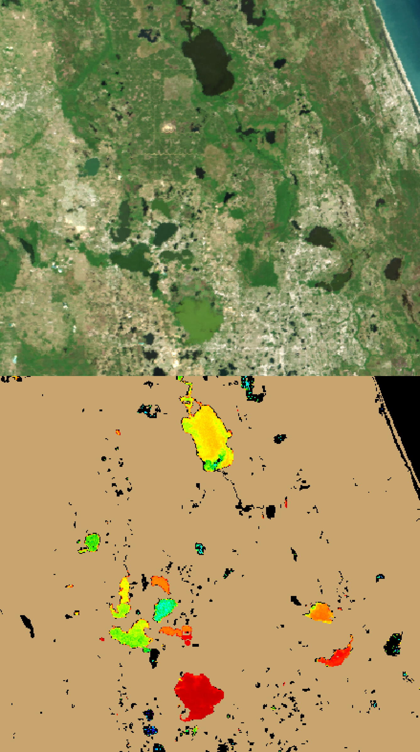 Satellite Image Showing Estimated Cyanobacteria Concentrations