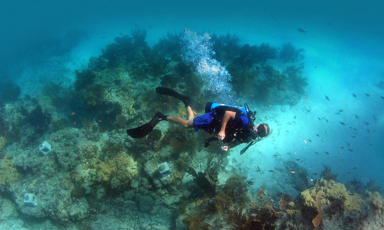 A person wearing underwater breathing gear and fins on feet floats over a rocky coral reef, bubbles nearby with sandy background