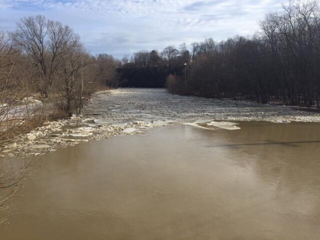 Grand River near Painesville, OH - downstream of bridge