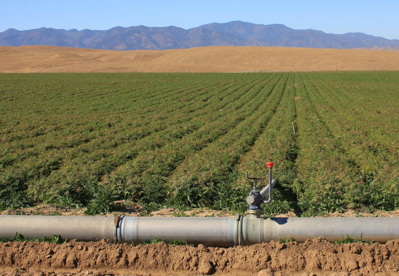 a field being irrigated