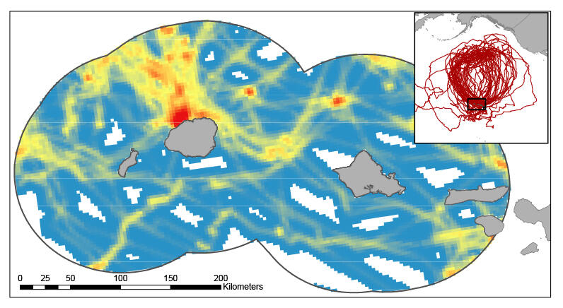 Heat Map of Endangered Hawaiian Petrel