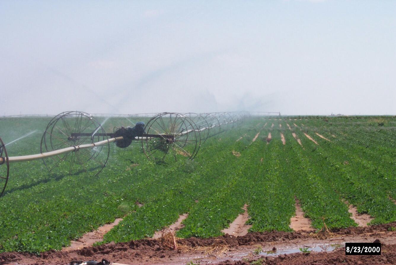 Agricultural field in the Texas High Plains 