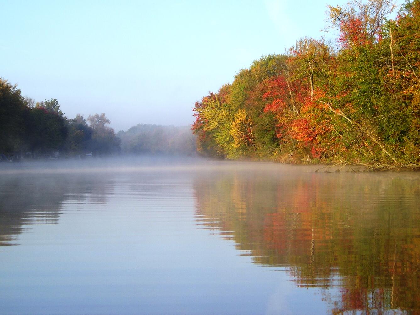 fog on a fall colored tree lined river