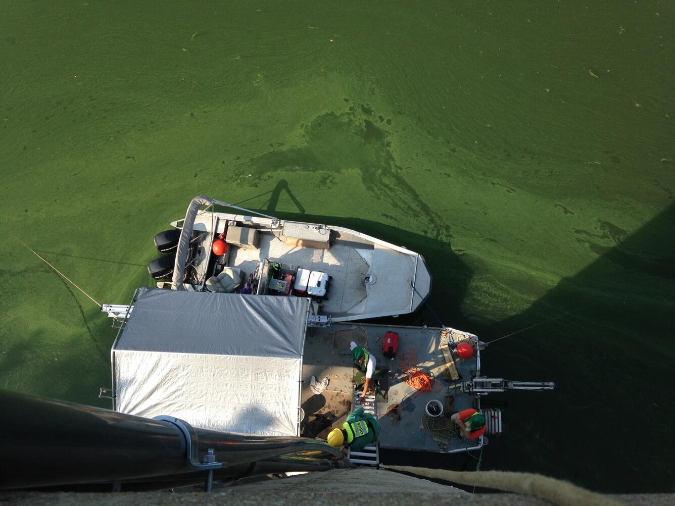 Harmful algal bloom on the Ohio River