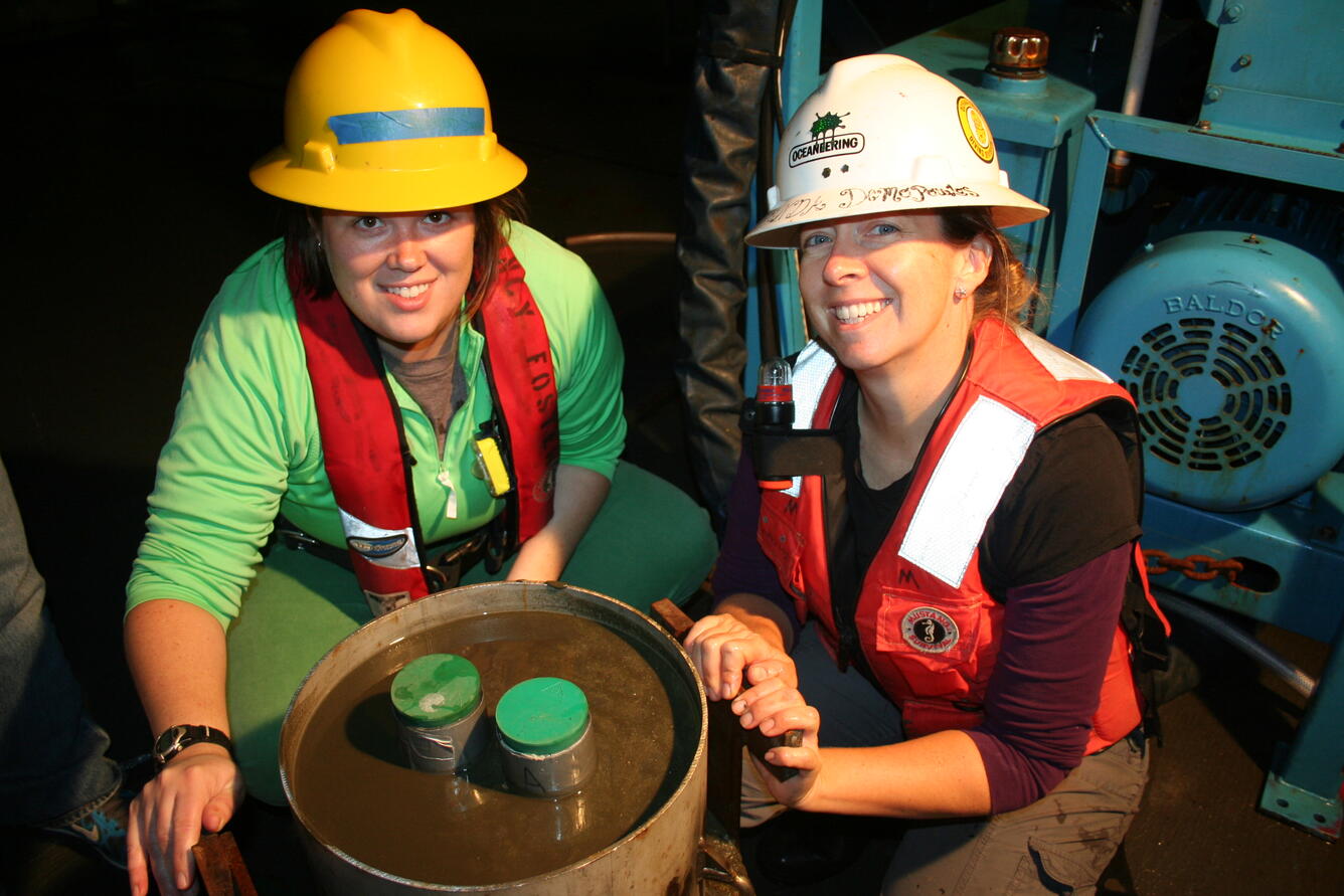 box core sample collected at 195 m depth