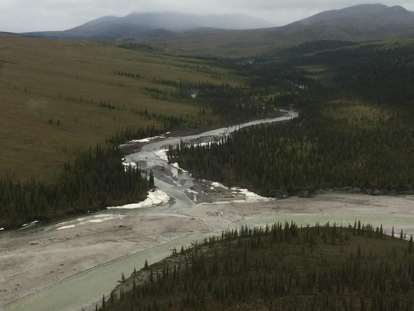 A tributary at the arctic-boreal transition in the Agashashok River Watershed