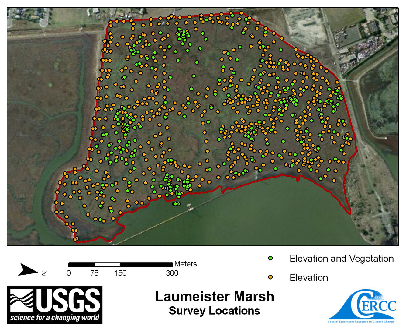 Map of elevation sampling point locations at Laumeister Marsh