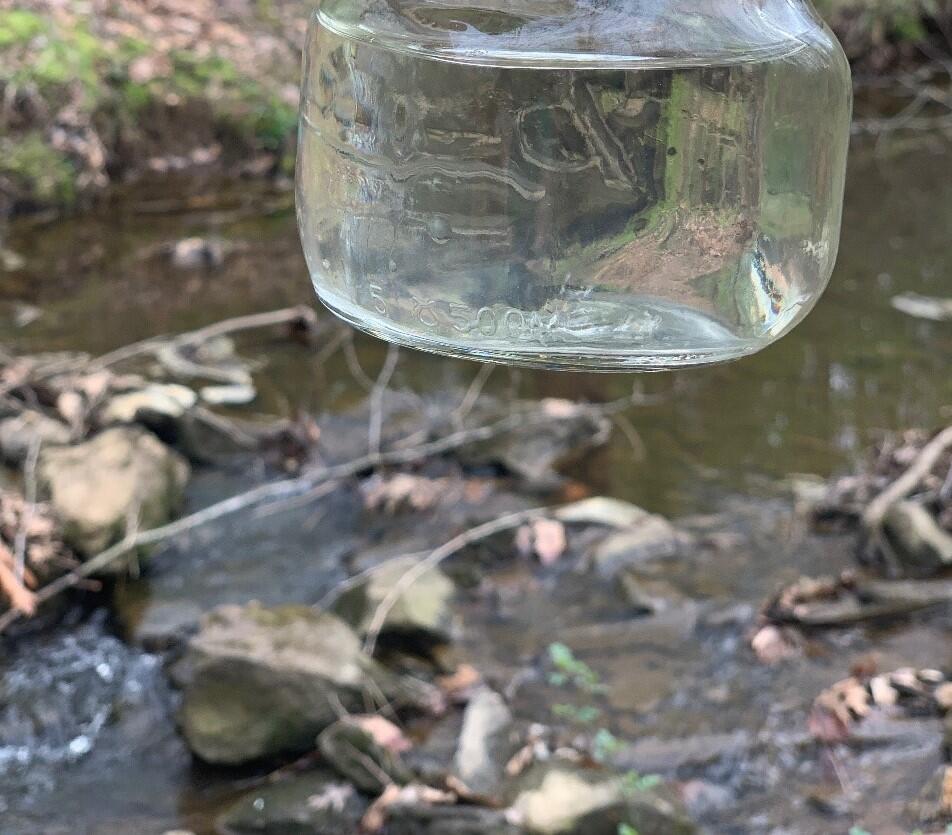 Clear, low-sediment water from a flowing stream in Reston, VA.