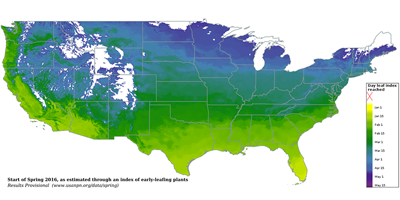 Map showing spring leafing on trees across the United States