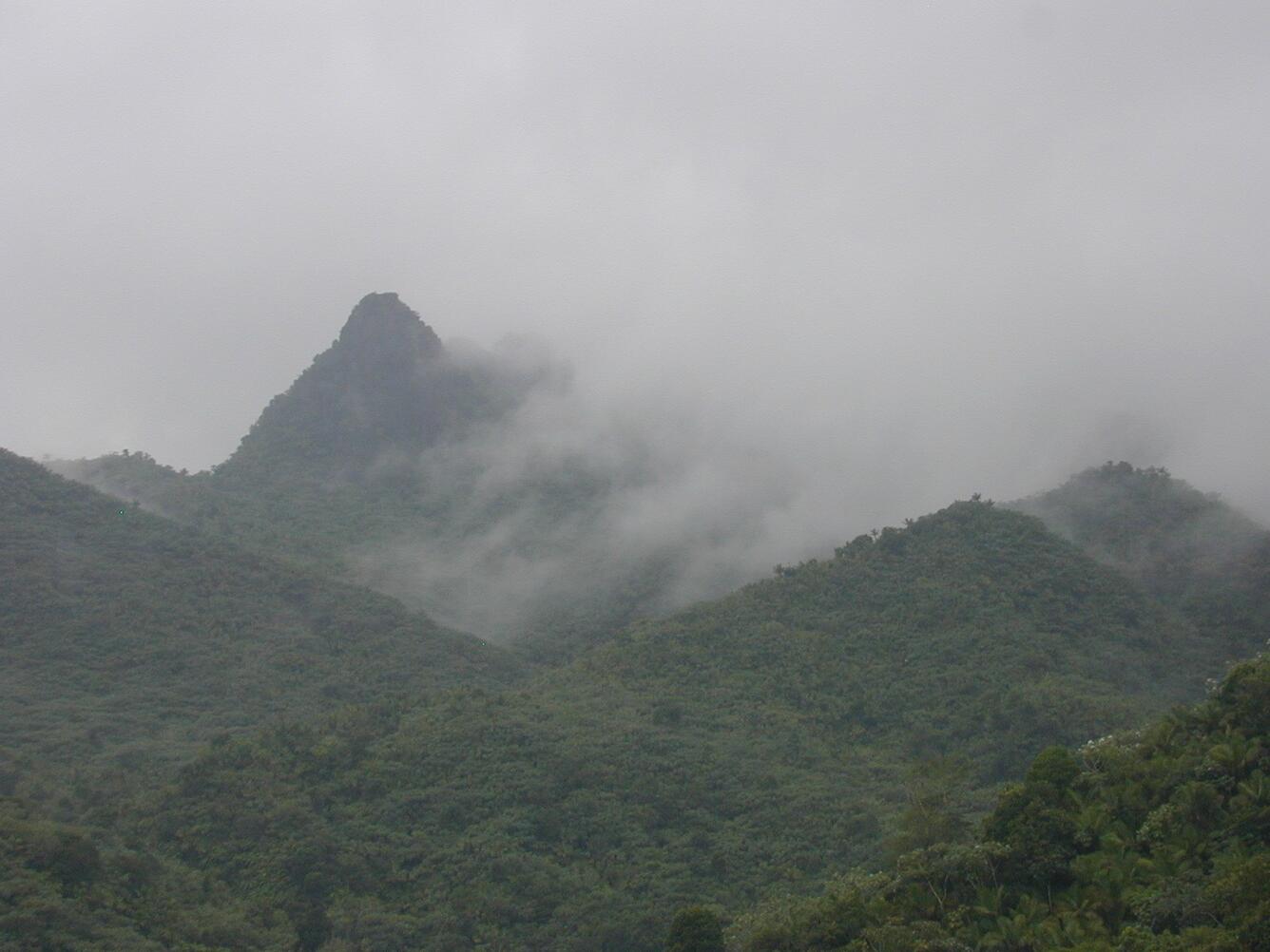 low clouds in Luquillo Experimental Forest