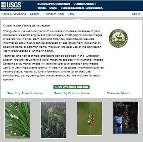 Graphic of the Guide to Plants of Louisiana Website