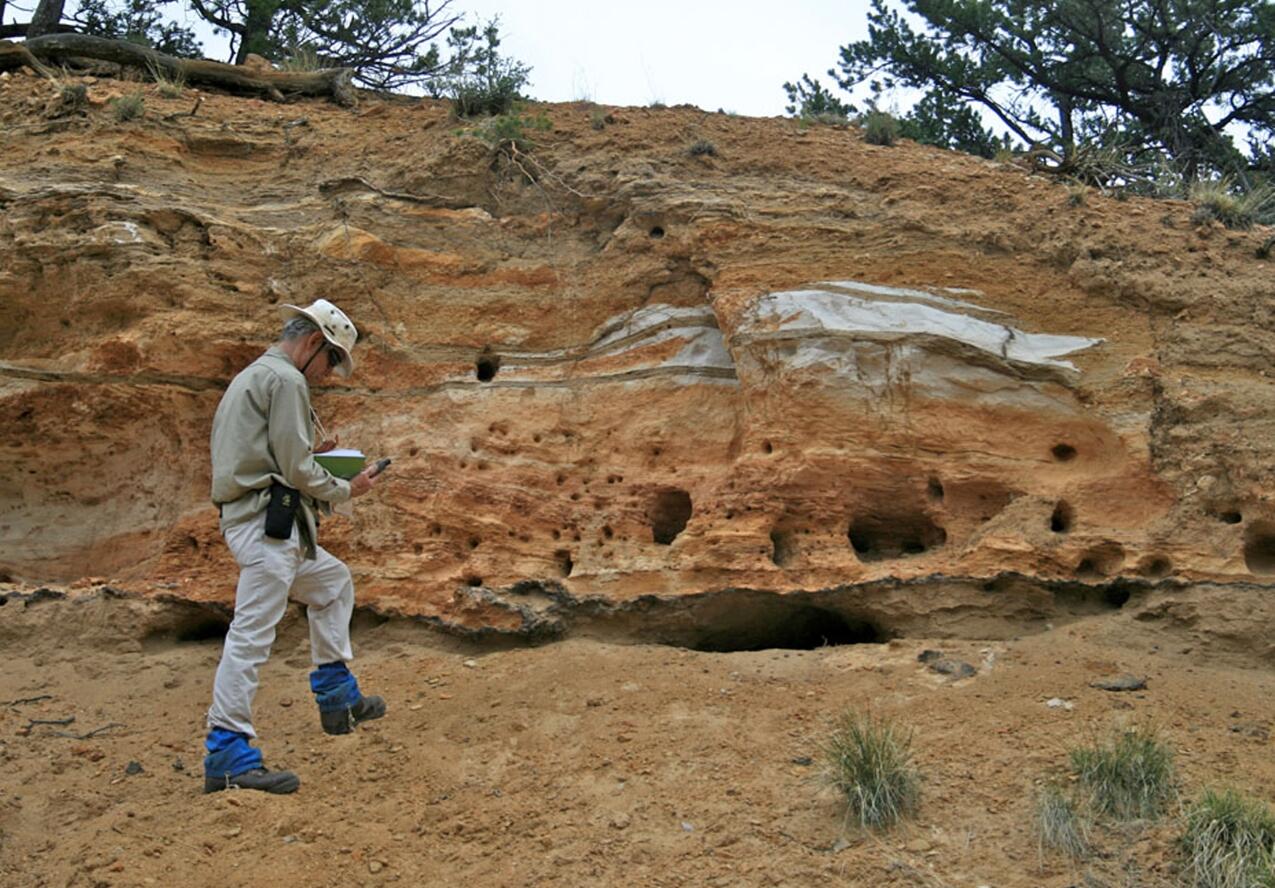 Scientist recording information about a geological formation