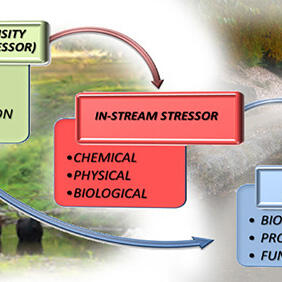 Flow diagram of relationships between watershed stressors and aquatic health
