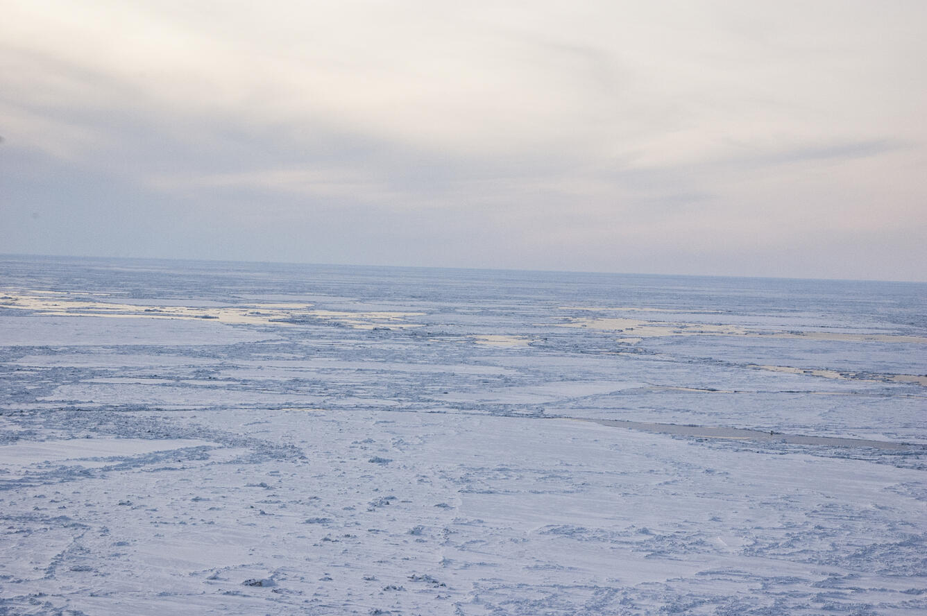 Sea ice view from a helicopter
