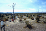 Amargosa Desert Research Site
