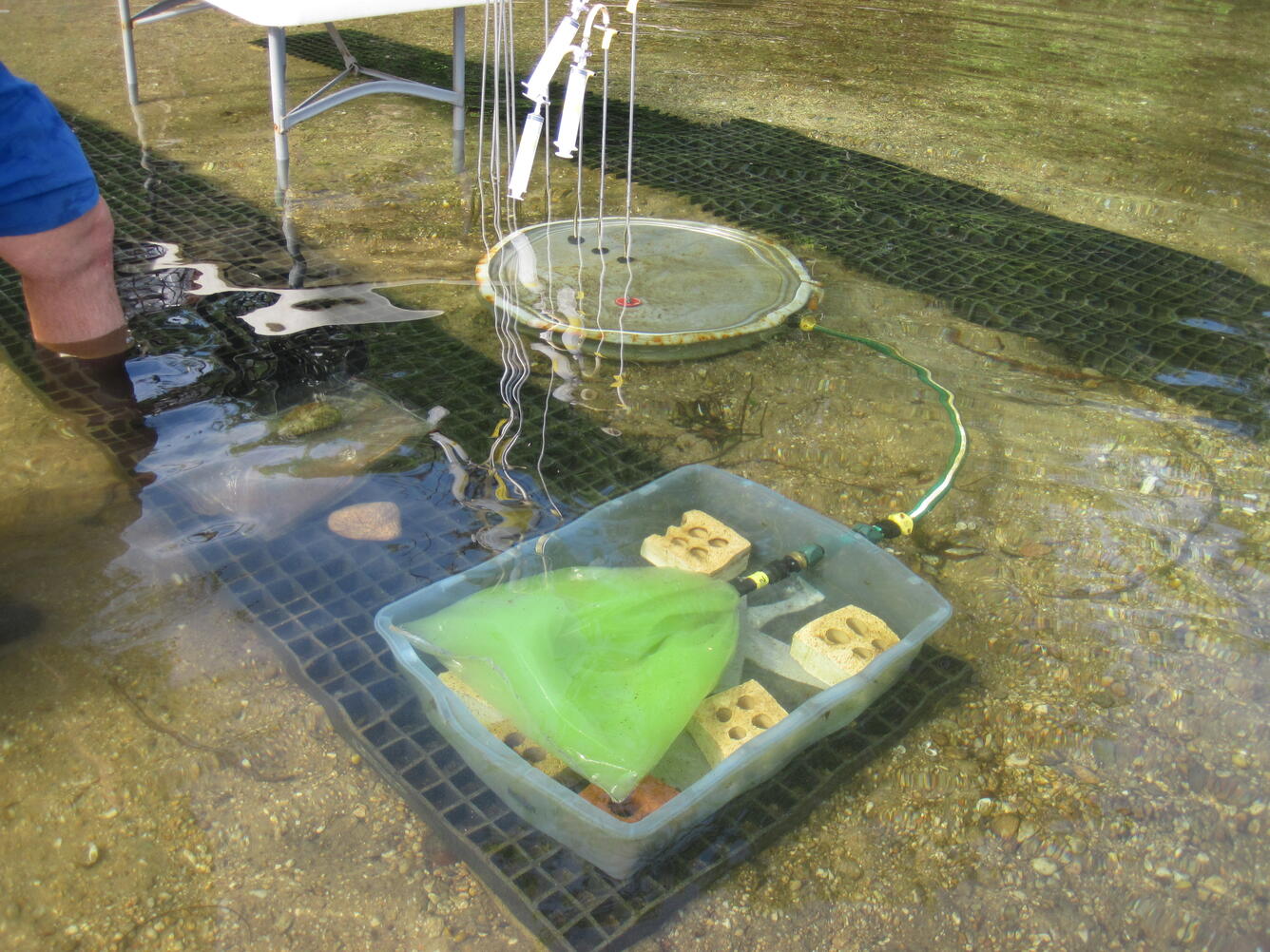 Experimental setup for small-scale transport test