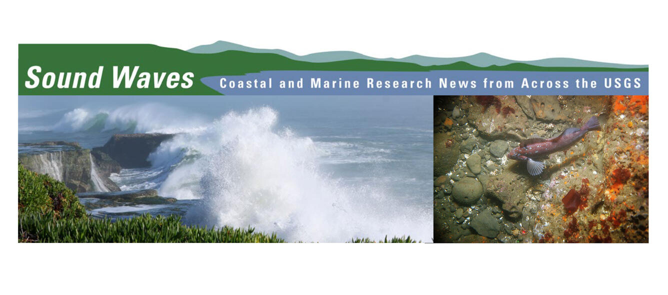 Cover of a newsletter with words, a photo of a big crashing wave, and the seafloor with a fish.