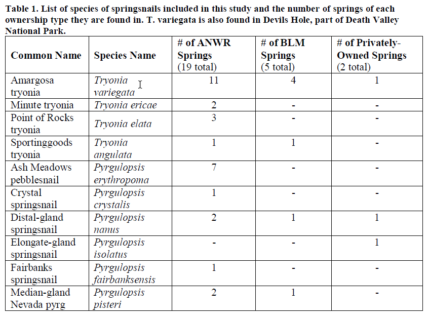Table of springsnail species in Ash Meadows National Wildlife Refuge