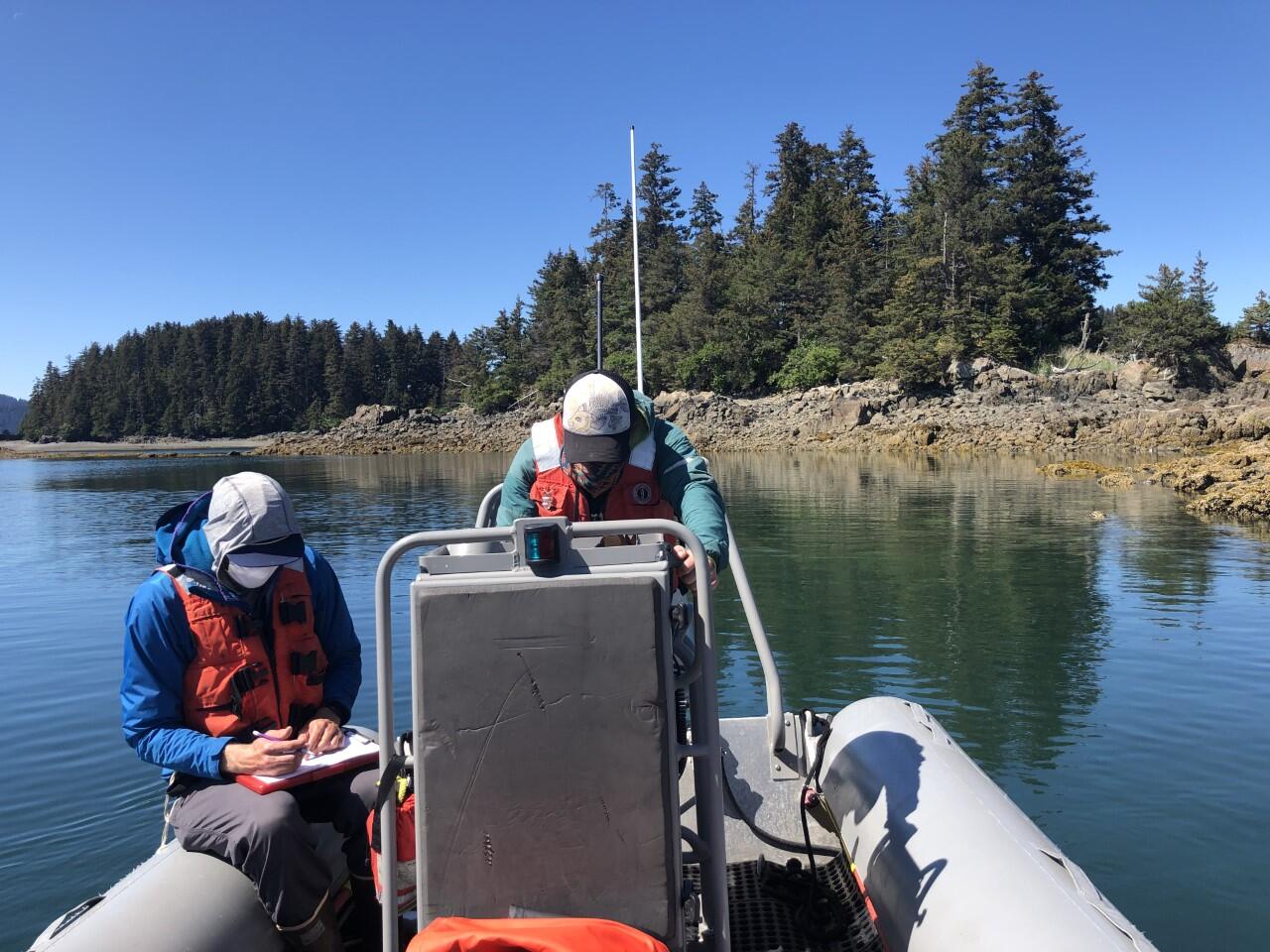 Scientists in boat record observations along nearshore transects in Kachemak Bay, Alaska
