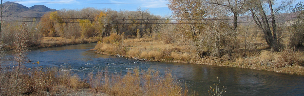 Truckee River near Tracy Segment Hydrographic Area, Nevada