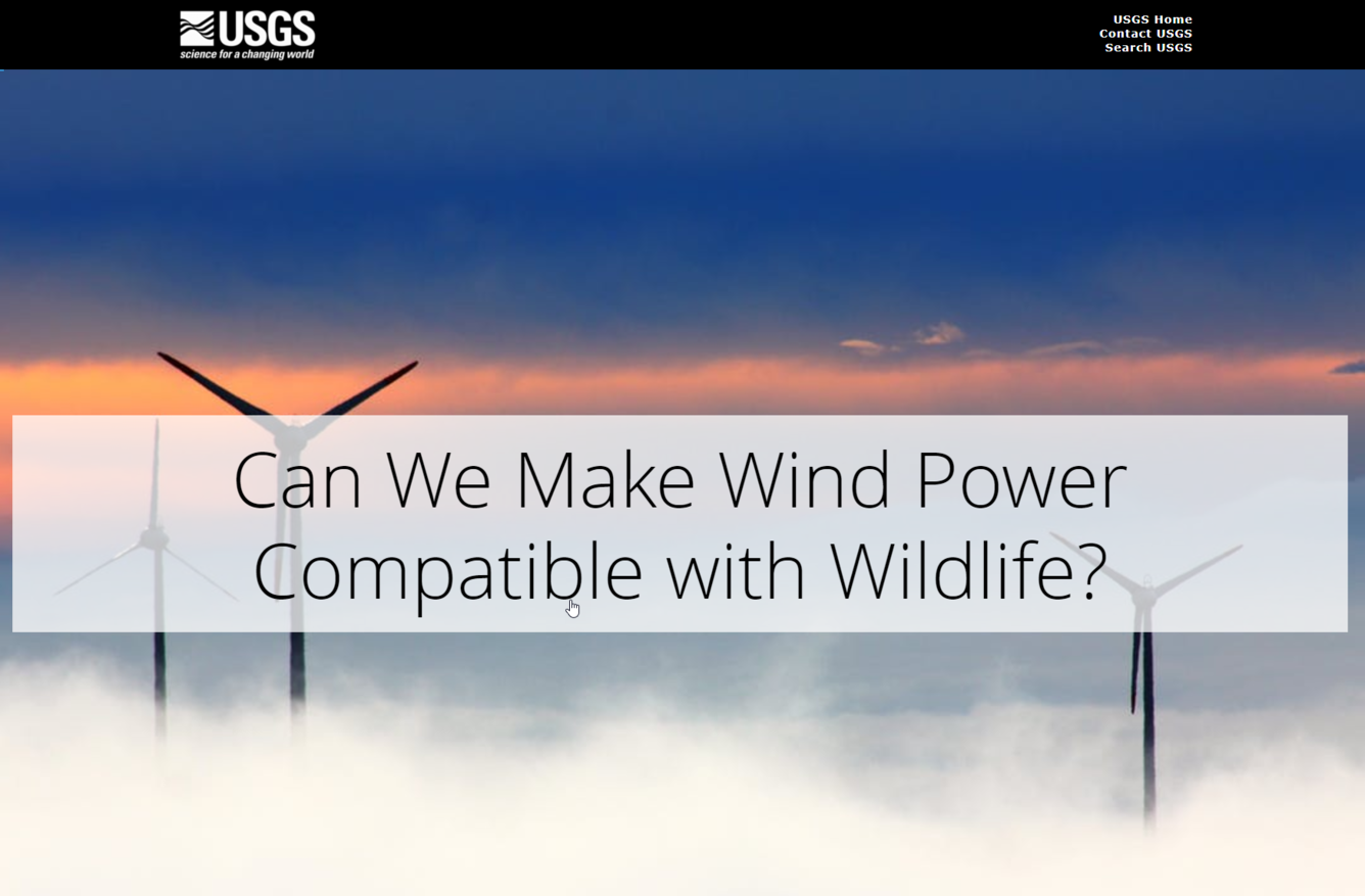 Screenshot from the "Can we make wind power compatible with wildlife" story map