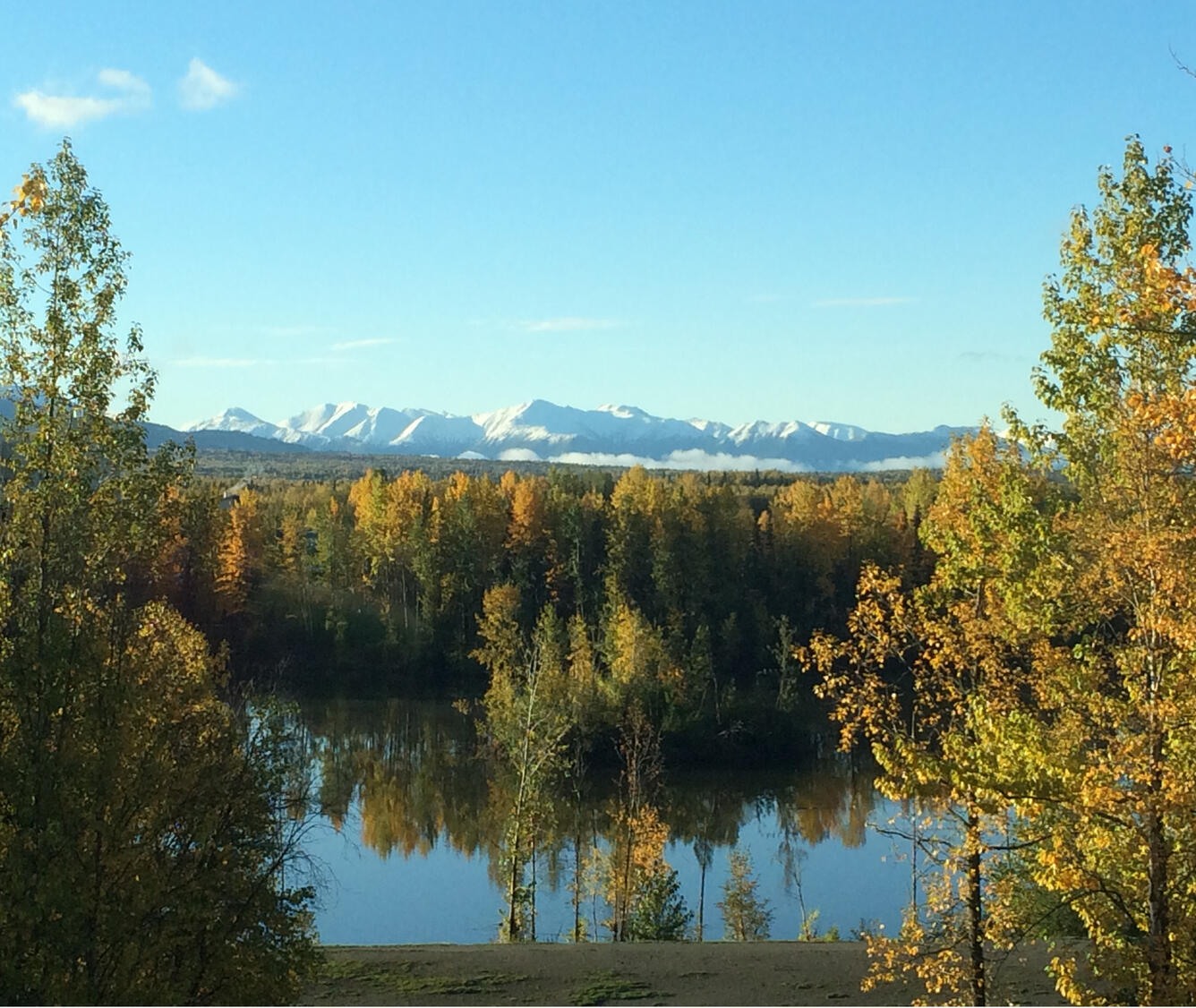 View of trees across University Lake from the Alaska Science Center in Anchorage, Alaska