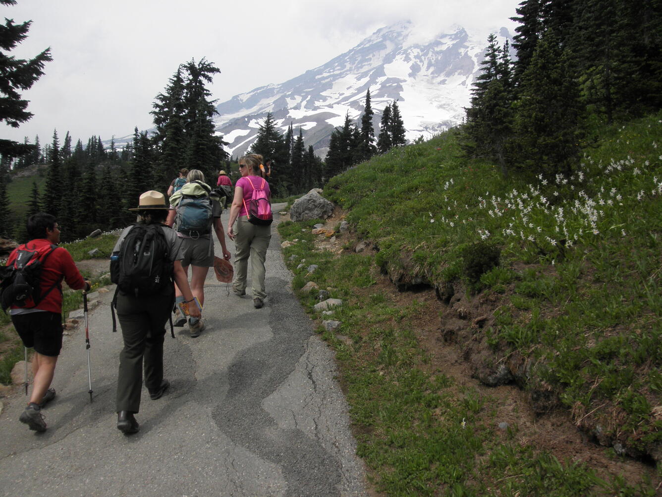 Educators hiking at Mount Rainier with CVO and NPS staff during a t...